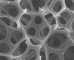 Open dodecahedral pores in PU foam