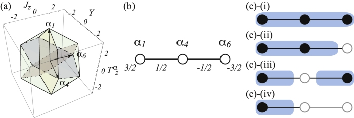 (a) The root diagram of the su(4) algebra, (b) the Dynkin diagram of the the su(4) algebra, and (c) the four types of the unitary equivalence classes of the matrix representations of the su(2) subalgebras. In (c), the chosen simple roots and the omitted simple roots are indicated by the filled black circles and the open gray circles, respectively.
