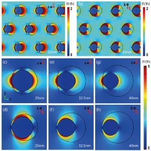 Localized EM amplitude distributions of PAA@AgNPs. Top view of PAA@AgNPs array with parallel (a) and perpendicular (b) polarization, (c)–(h) different PAA tube size with paralled (c), (e) and (g) and perpendicular (d), (f) and (h) polarization.